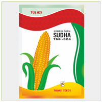 Sudha